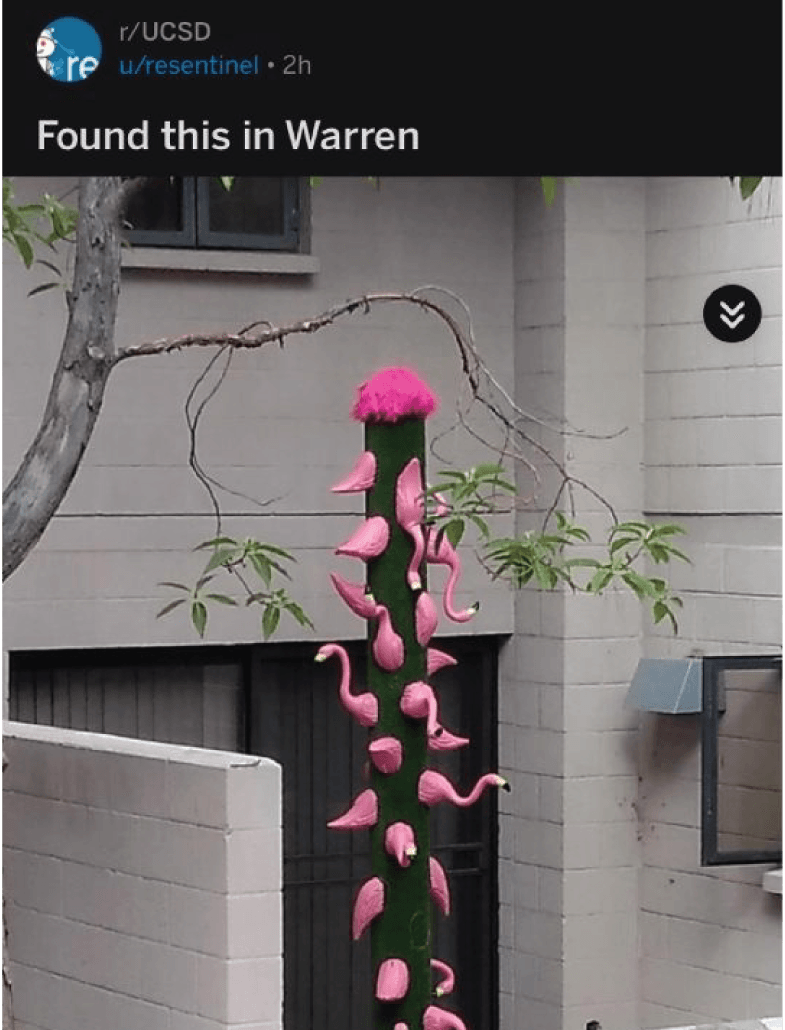 Flamingo column in dorm